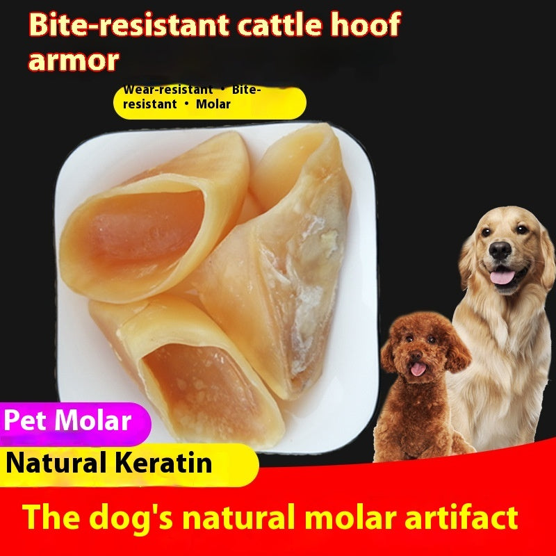 Anti Bite Pet Dog Snacks Grinding Rod Pawsentialshub