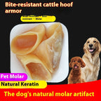 Anti Bite Pet Dog Snacks Grinding Rod Pawsentialshub