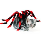 Pet Cat Dog Halloween Creative Spider Costume Pawsentialshub