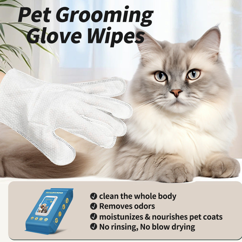 Disposable Gloves Pet Cat Dog Pet Supplies Bath Cleaning Pawsentianshub