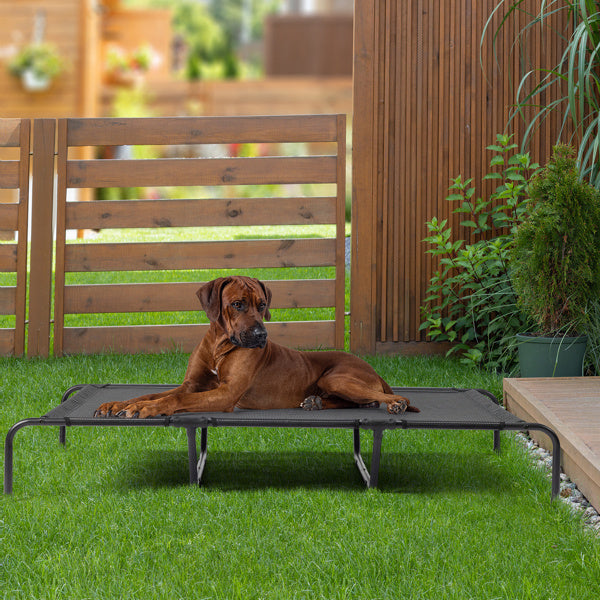 Pet Beds - Pawsentialshub
