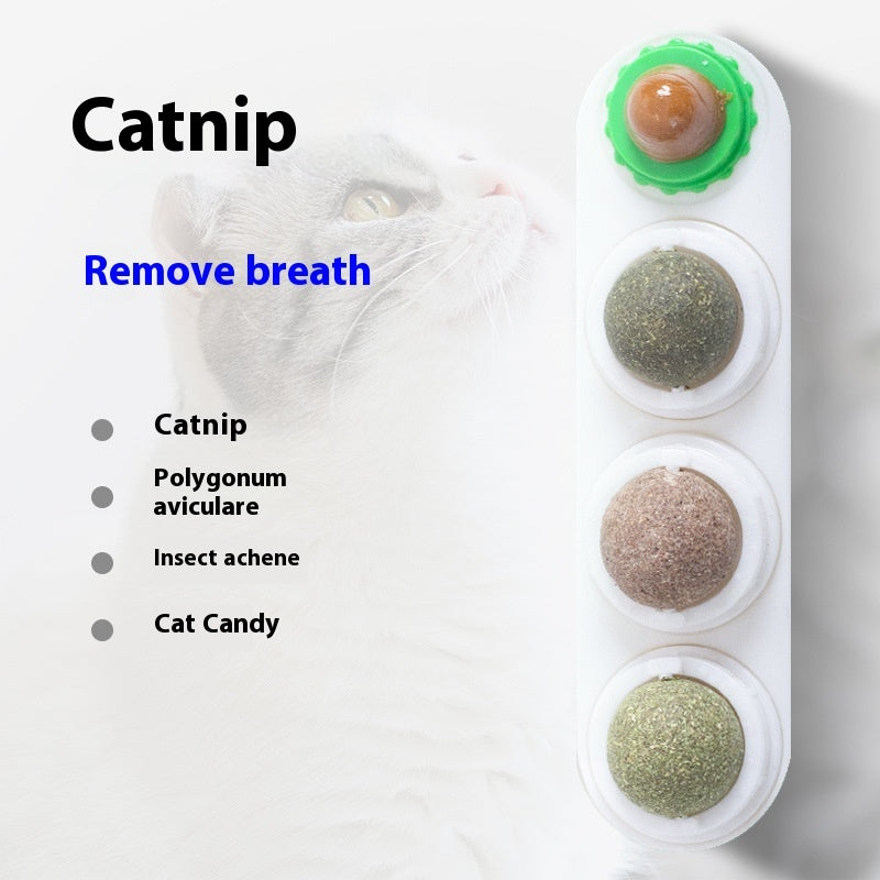 Cat Toy Snacks Molar Long Lasting Pet Supplies Pawsentialshub