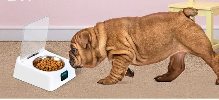 Pet 5G Bowl Automatic Pet Feeder - Pawsentialshub