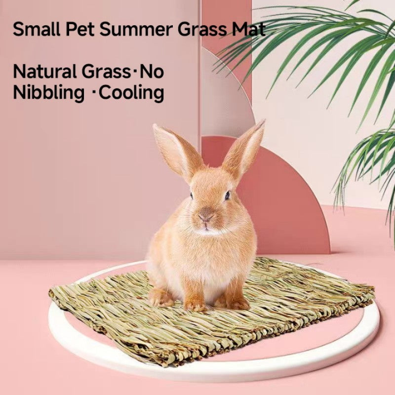 Pet Cushion - Pawsentialshub