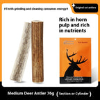 Bite Resistant And Teeth Cleaning Pet Snacks Pawsentialshub