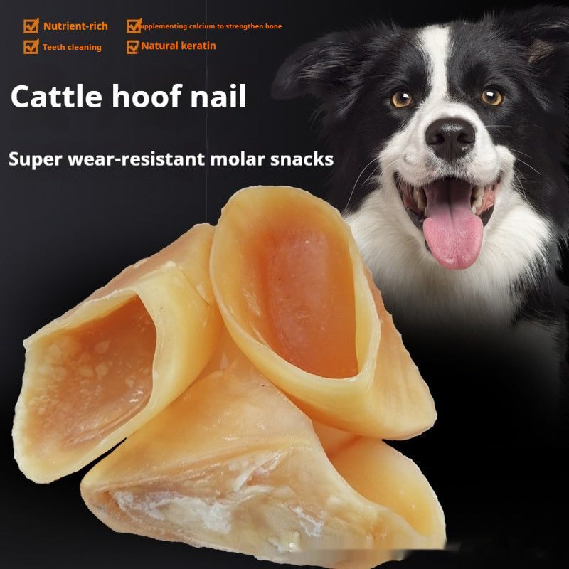 Anti Bite Pet Dog Snacks Grinding Rod Pawsentialshub