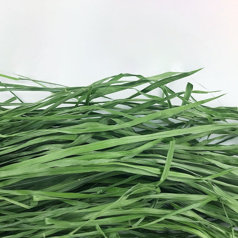 Dried Timothy FCL Hay Snacks Feed Chinchilla Guinea Pig Food Rabbits Pet Products Pawsentialshub