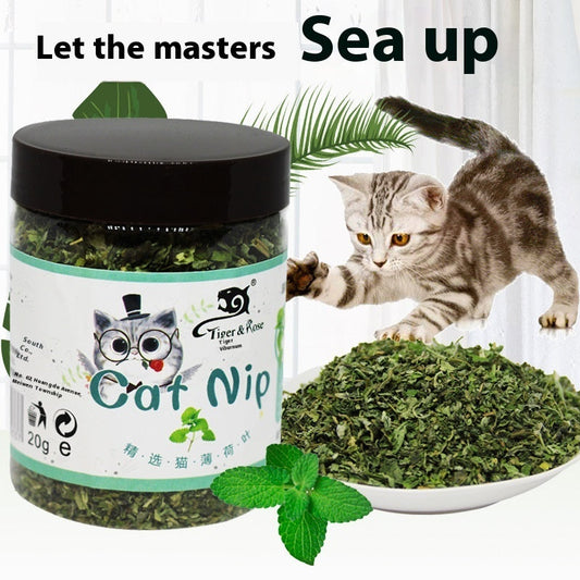 Catnip Tea Powder Depilation Ball 280ML Pawsentialshub