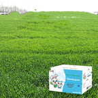 Dried Timothy FCL Hay Snacks Feed Chinchilla Guinea Pig Food Rabbits Pet Products Pawsentialshub