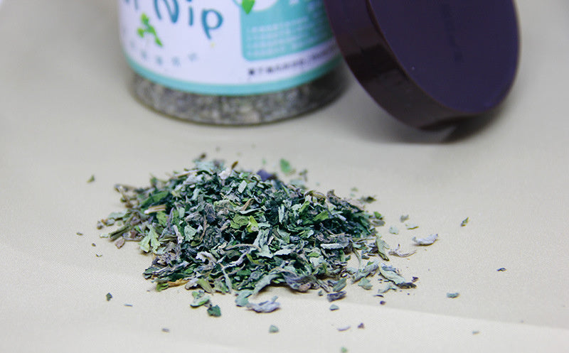 Catnip Tea Powder Depilation Ball 280ML Pawsentialshub