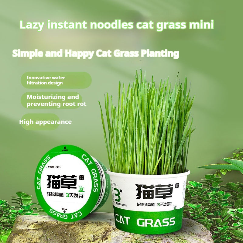Lazy Cat Grass Canned Hydroponic Soilless Depilation Ball Digestive Snacks Pawsentialshub