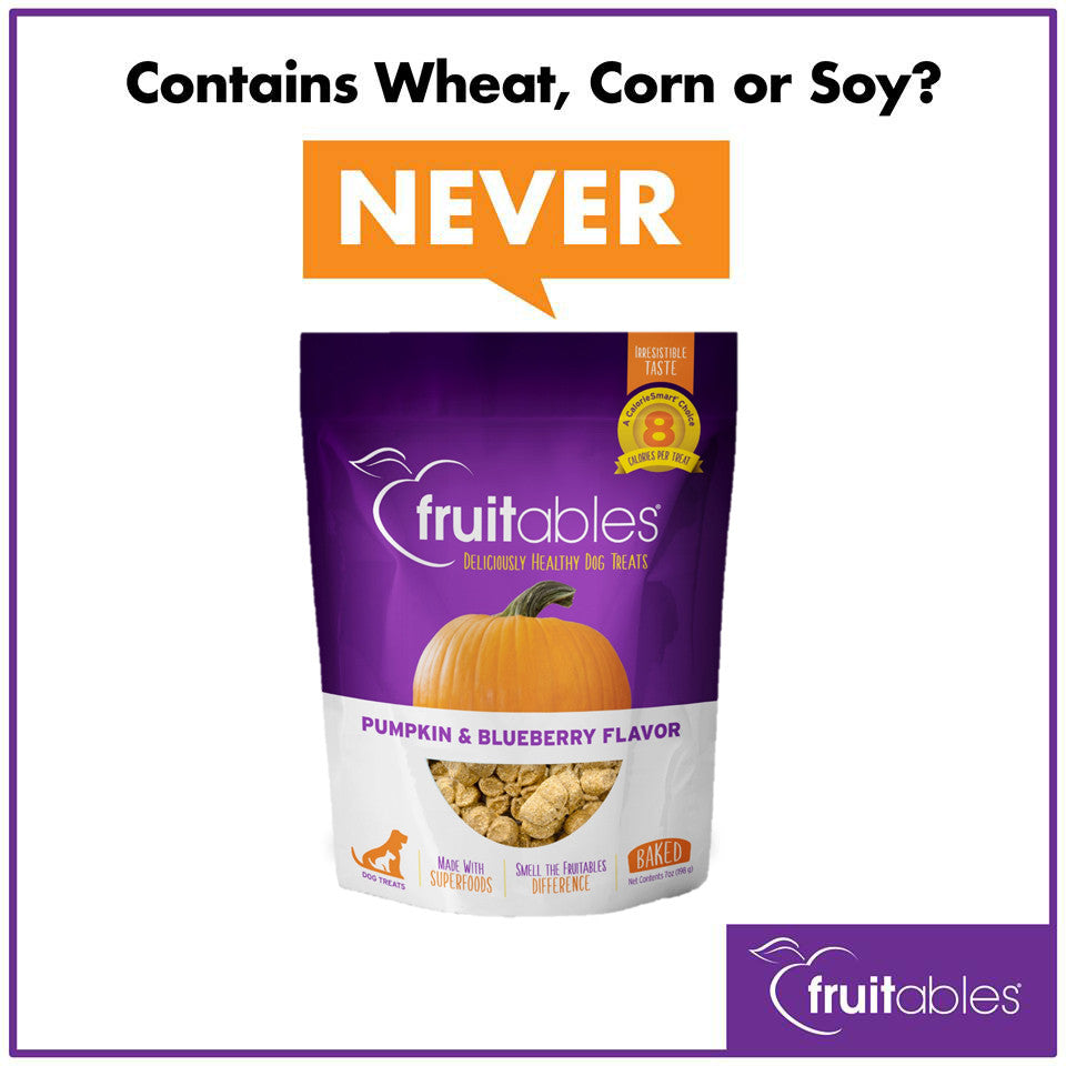 FRTABLE PMPKN BRY DG TRT ( 12 X 5 OZ   )-4