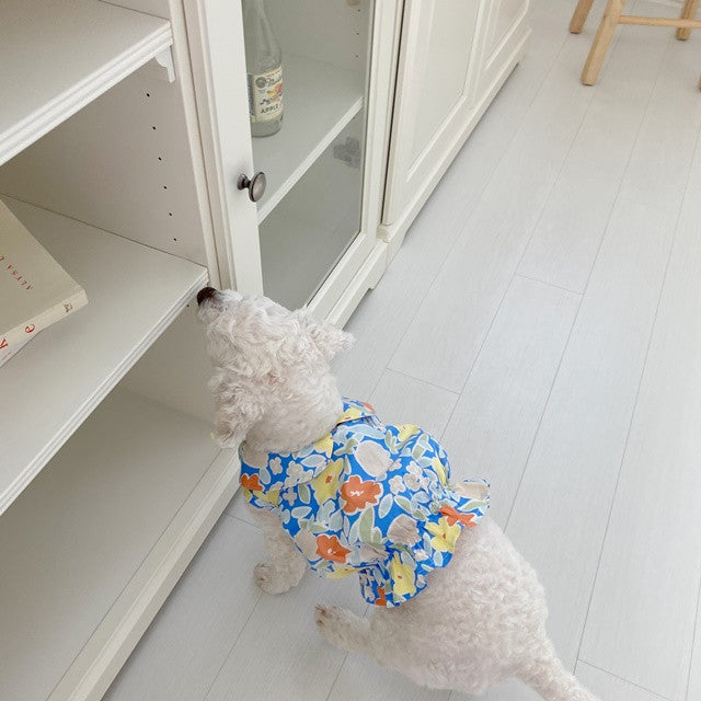 Bear Teddy Dog Skirt Pet Cat Clothes Pawsentialshub