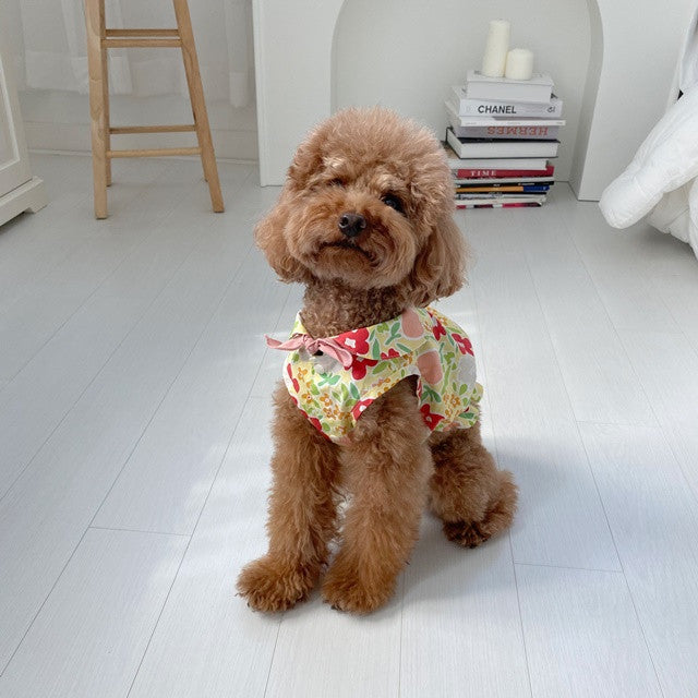 Bear Teddy Dog Skirt Pet Cat Clothes Pawsentialshub