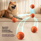 Pets Electric Jumping Ball Automatic Dog-teasing Luminous Pet Products Pets Dogs Training Products Ball Toys For Dogs Resistance Pawsentialshub
