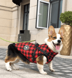 Winter Wonderland Pet Hooded Coat - Stylish And Warm Dog Jacket For Small Breeds-11