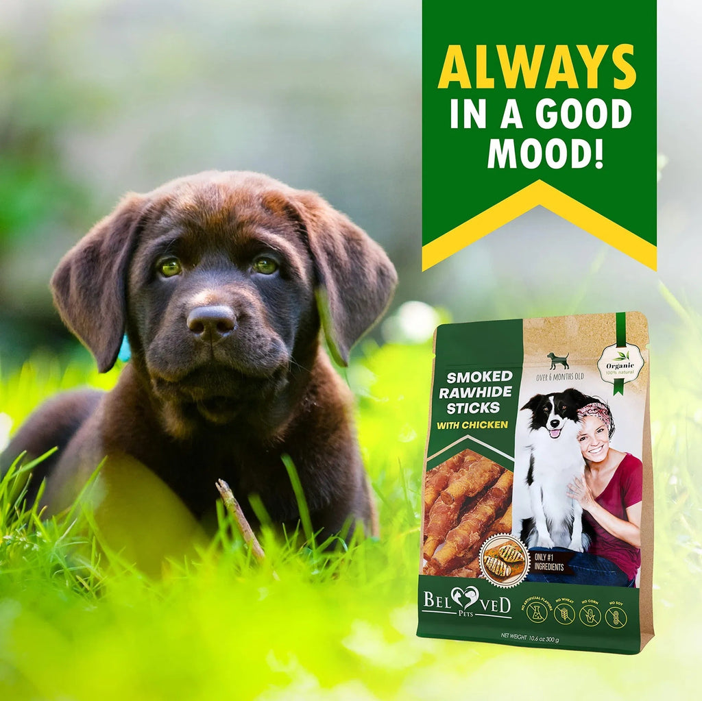 Dog Smoked Rawhide Sticks Wrapped Chicken Pet Natural Chew Treats Grain Free Organic Meat Healthy Human Grade Dried Snacks In Bulk Pawsentialshub