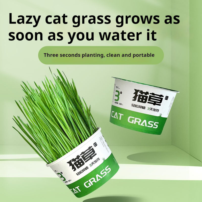 Lazy Cat Grass Canned Hydroponic Soilless Depilation Ball Digestive Snacks Pawsentialshub