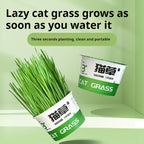 Lazy Cat Grass Canned Hydroponic Soilless Depilation Ball Digestive Snacks Pawsentialshub
