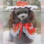 Christmas Pet Clothes Funny   Pet Clothing Apparel - Pawsentialshub