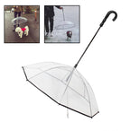 Dog's Transparent Umbrella With Traction Chain Removable Umbrella Pet Products - Pawsentialshub