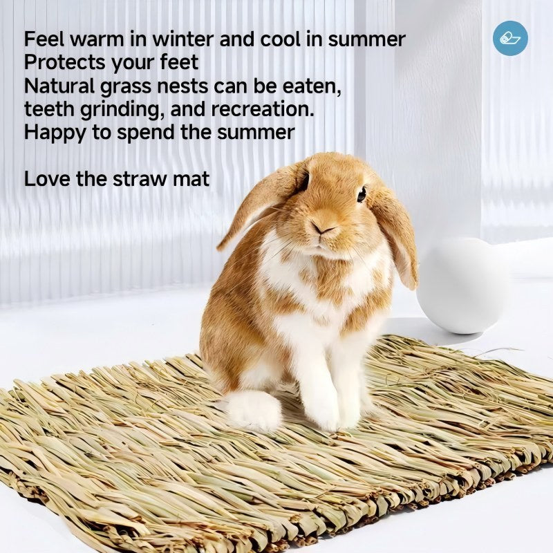 Pet Cushion - Pawsentialshub