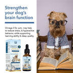 Salmon Oil Pet Care Pawsentialshub