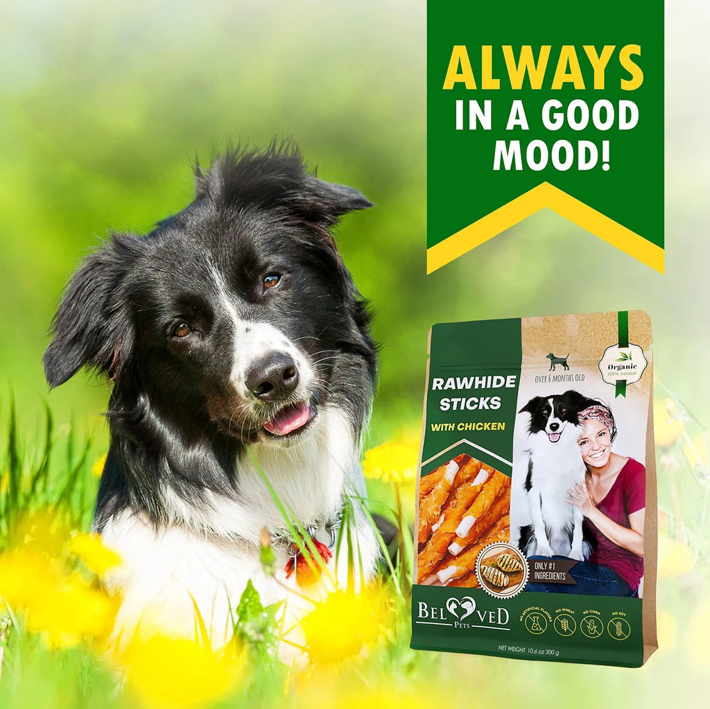 Dog Sticks Wrapped With Chicken & Pet Natural Chew Treats Grain Free Organic Meat & Human Grade Dried Snacks In Bulk For Training Small & Large Dogs Pawsentialshub