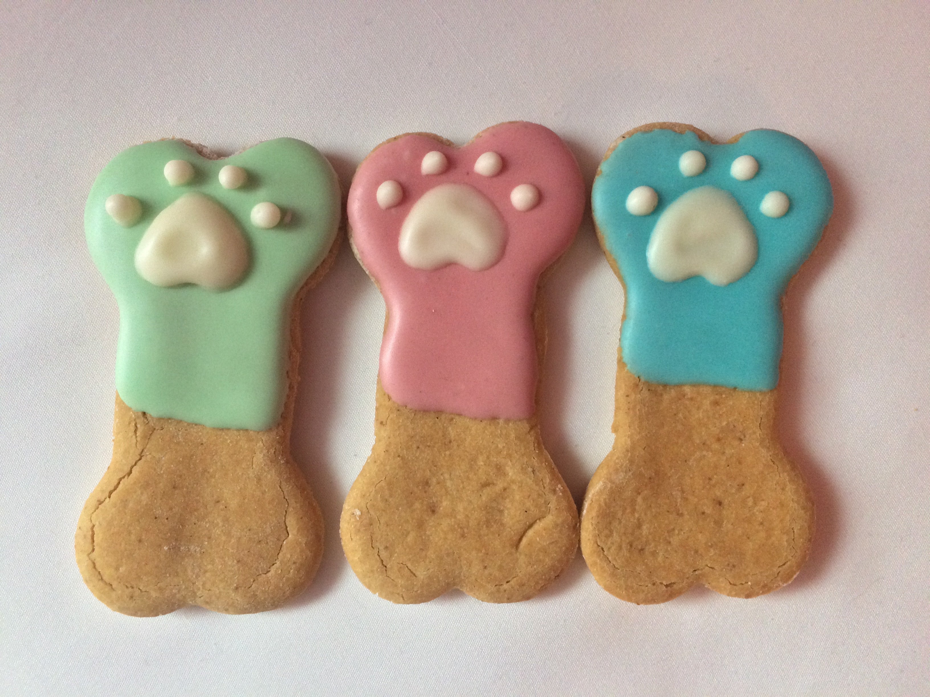 Spring Dog Bones  (Qty 12)-0