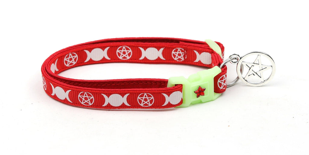 Witch's Familiar on Red Cat Collar-4